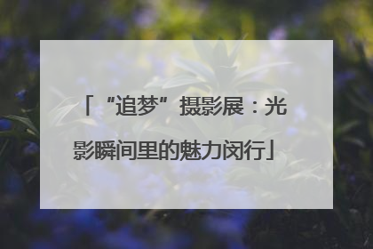 “追梦”摄影展：光影瞬间里的魅力闵行