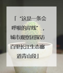 “这是一条会呼吸的岸线”，城市观察团探访百里长江生态廊道青山段