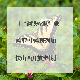 “钢铁驼队”驰欧亚 中欧班列加快山西开放步伐