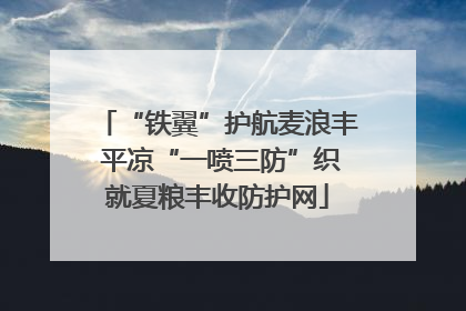“铁翼”护航麦浪丰 平凉“一喷三防”织就夏粮丰收防护网
