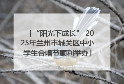 “阳光下成长” 2025年兰州市城关区中小学生合唱节顺利举办