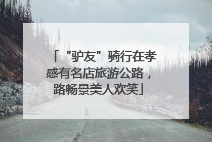 “驴友”骑行在孝感有名店旅游公路，路畅景美人欢笑