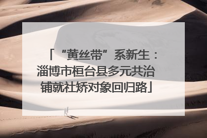 “黄丝带”系新生：淄博市桓台县多元共治铺就社矫对象回归路