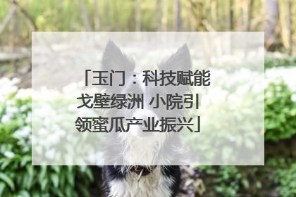 玉门：科技赋能戈壁绿洲 小院引领蜜瓜产业振兴