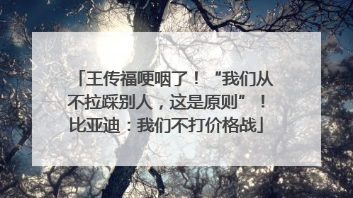 王传福哽咽了！“我们从不拉踩别人，这是原则”！比亚迪：我们不打价格战