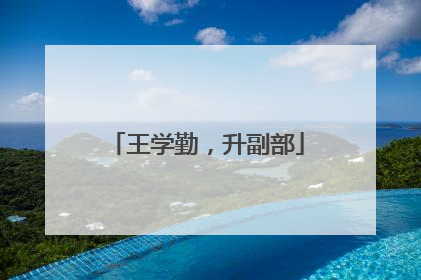 王学勤，升副部