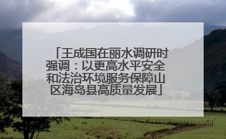 王成国在丽水调研时强调：以更高水平安全和法治环境服务保障山区海岛县高质量发展
