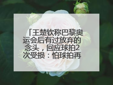 王楚钦称巴黎奥运会后有过放弃的念头，回应球拍2次受损：怕球拍再坏用副板练习