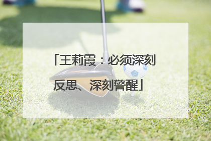 王莉霞：必须深刻反思、深刻警醒