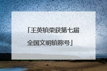 王英镇荣获第七届全国文明镇称号