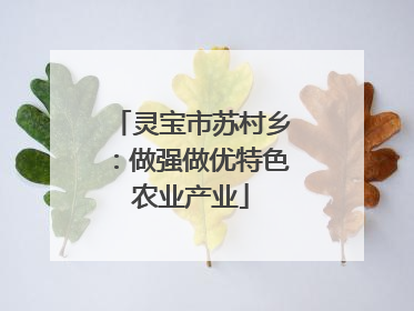 灵宝市苏村乡：做强做优特色农业产业