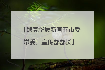 熊亮华履新宜春市委常委、宣传部部长