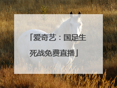 爱奇艺：国足生死战免费直播