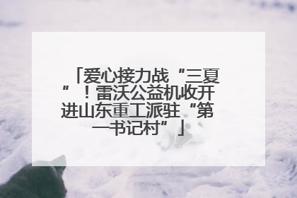 爱心接力战“三夏”！雷沃公益机收开进山东重工派驻“第一书记村”