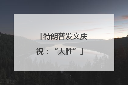 特朗普发文庆祝：“大胜”