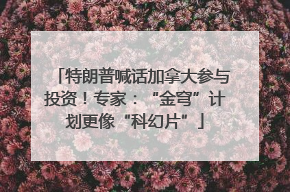 特朗普喊话加拿大参与投资！专家：“金穹”计划更像“科幻片”