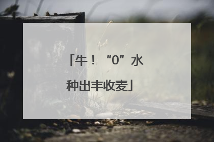牛！“0”水种出丰收麦