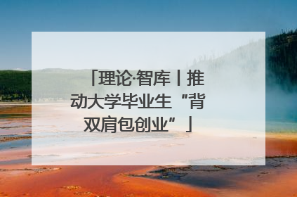 理论·智库丨推动大学毕业生“背双肩包创业”