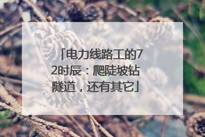电力线路工的72时辰：爬陡坡钻隧道，还有其它