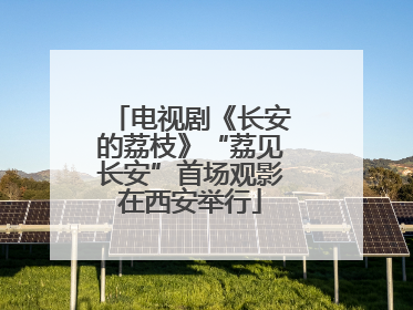 电视剧《长安的荔枝》“荔见长安”首场观影在西安举行