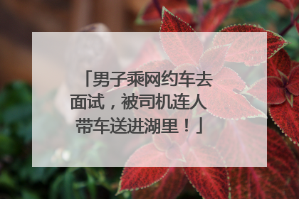 男子乘网约车去面试，被司机连人带车送进湖里！