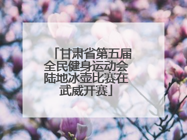 甘肃省第五届全民健身运动会陆地冰壶比赛在武威开赛