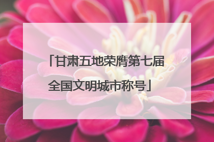 甘肃五地荣膺第七届全国文明城市称号