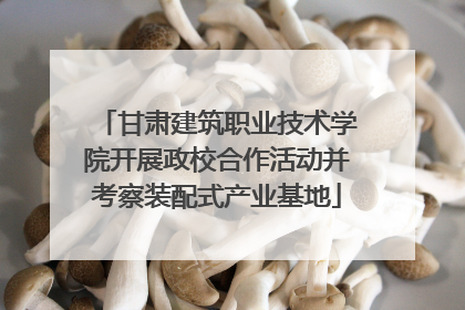 甘肃建筑职业技术学院开展政校合作活动并考察装配式产业基地