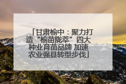 甘肃榆中：聚力打造“榆苗陇萃”四大种业育苗品牌 加速农业强县转型步伐