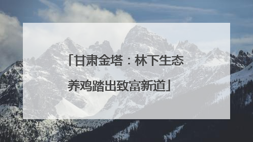 甘肃金塔：林下生态养鸡踏出致富新道
