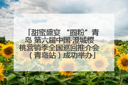 甜蜜盛宴 “圈粉”青岛 第六届中国·澄城樱桃营销季全国巡回推介会（青岛站）成功举办