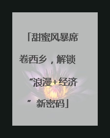 甜蜜风暴席卷西乡，解锁“浪漫+经济”新密码