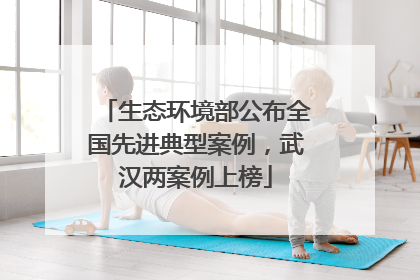 生态环境部公布全国先进典型案例，武汉两案例上榜
