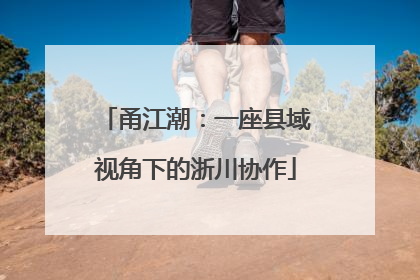 甬江潮：一座县域视角下的浙川协作