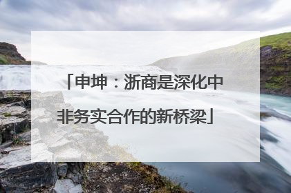 申坤：浙商是深化中非务实合作的新桥梁