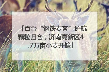 百台“钢铁麦客”护航颗粒归仓，济南高新区4.7万亩小麦开镰