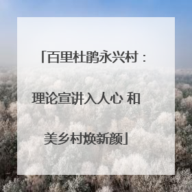 百里杜鹃永兴村：理论宣讲入人心 和美乡村焕新颜