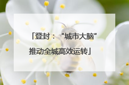登封：“城市大脑”推动全城高效运转