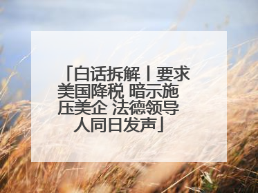 白话拆解丨要求美国降税 暗示施压美企 法德领导人同日发声