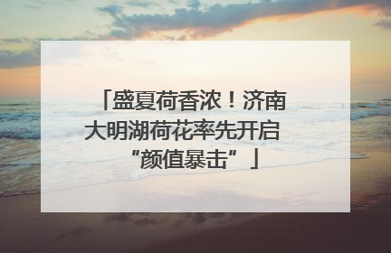 盛夏荷香浓！济南大明湖荷花率先开启“颜值暴击”