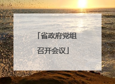 省政府党组召开会议