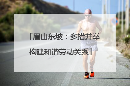 眉山东坡：多措并举构建和谐劳动关系