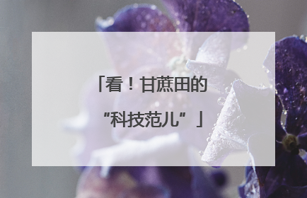 看！甘蔗田的“科技范儿”