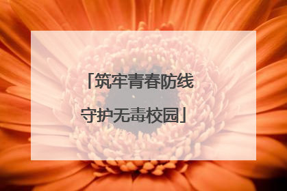 筑牢青春防线 守护无毒校园