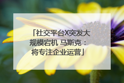 社交平台X突发大规模宕机 马斯克：将专注企业运营