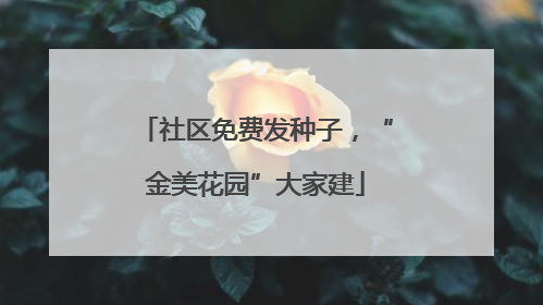 社区免费发种子，“金美花园”大家建
