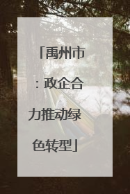 禹州市:政企合力推动绿色转型