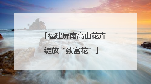 福建屏南高山花卉绽放“致富花”