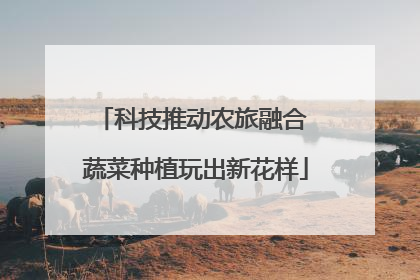 科技推动农旅融合 蔬菜种植玩出新花样