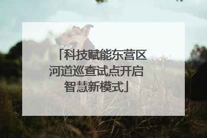 科技赋能东营区河道巡查试点开启智慧新模式